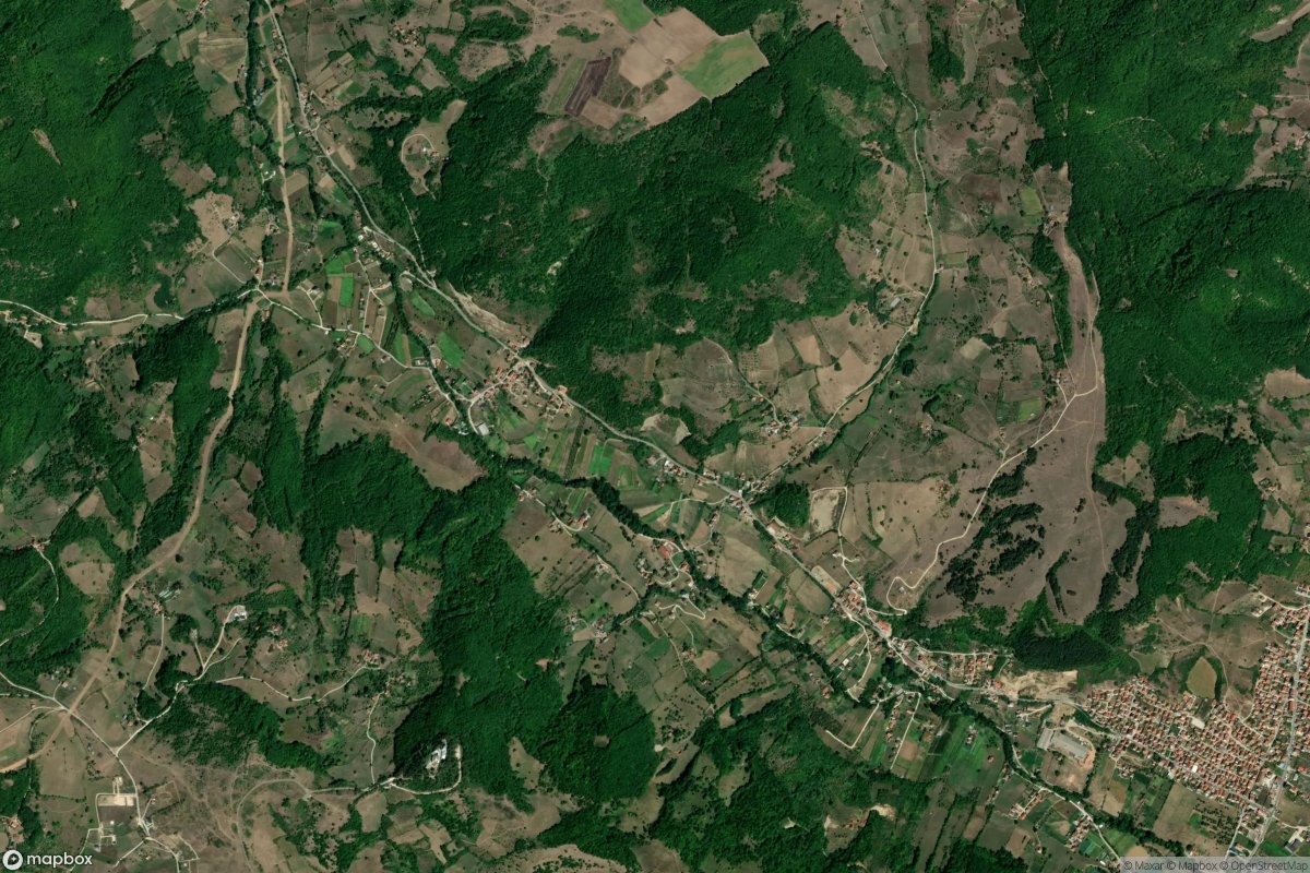 Kosurice