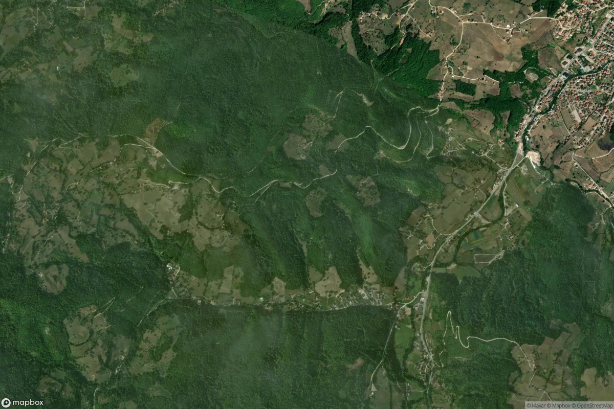 Požežane