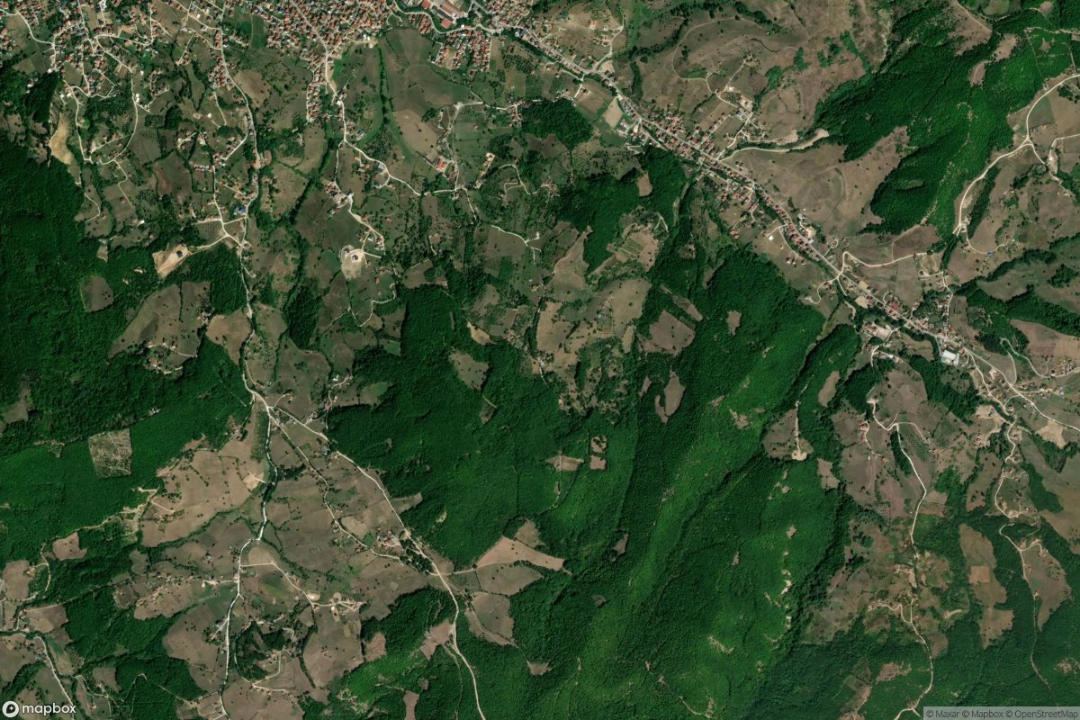 Radaljica