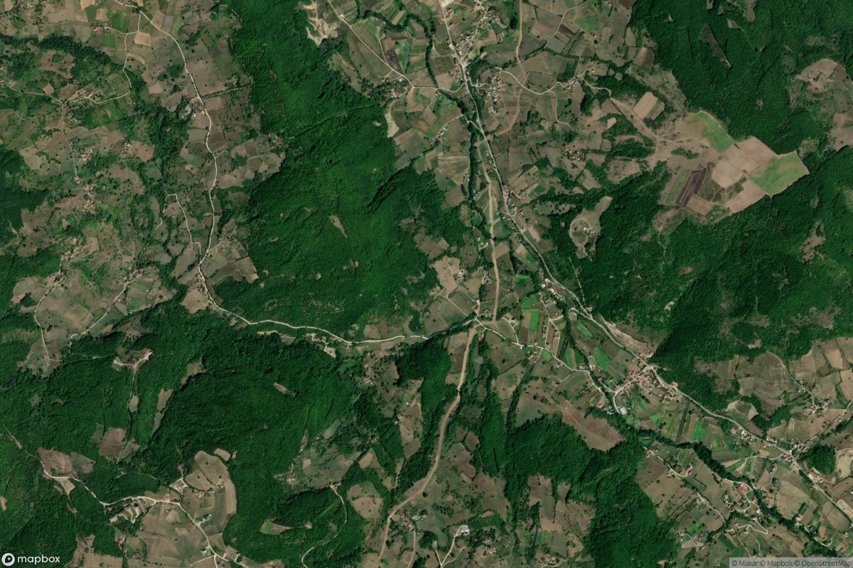 Šušure